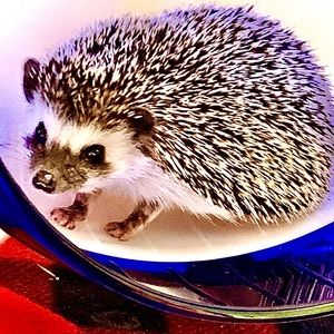 Meet your Posher, Avery